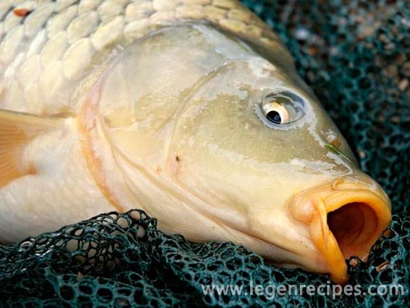 How to cook carp
