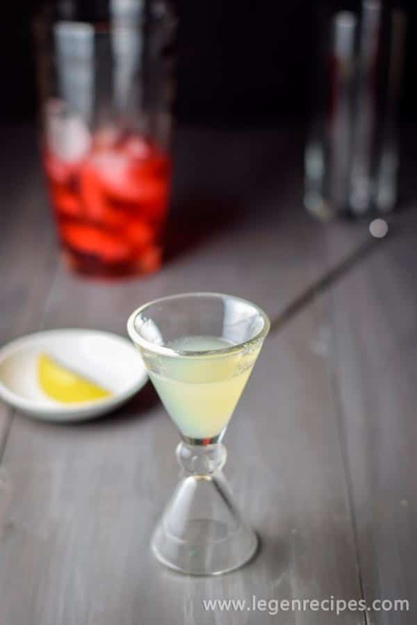 Sloe-Gin-Fizz-Cocktail-4